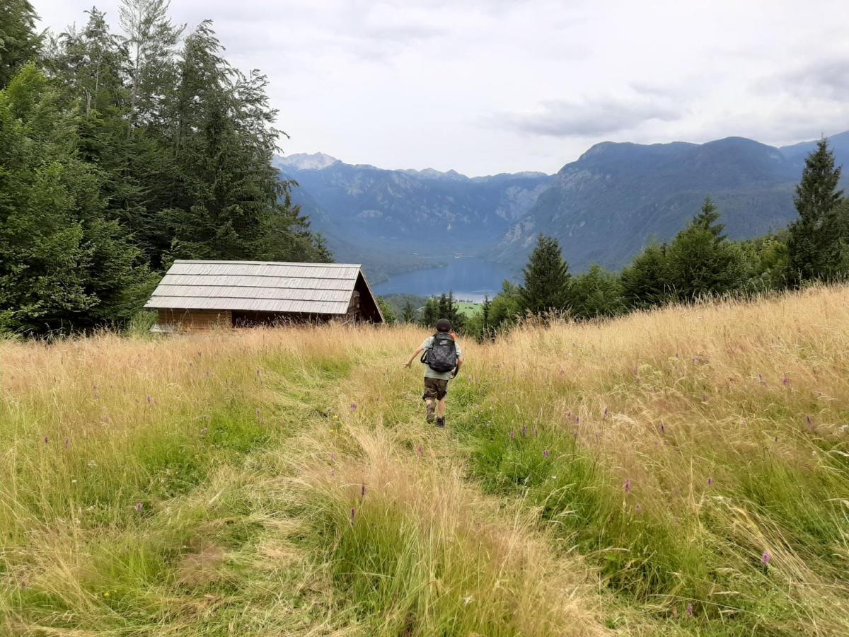 Chalet Pr Dobravc Bohinj Zewnętrze zdjęcie