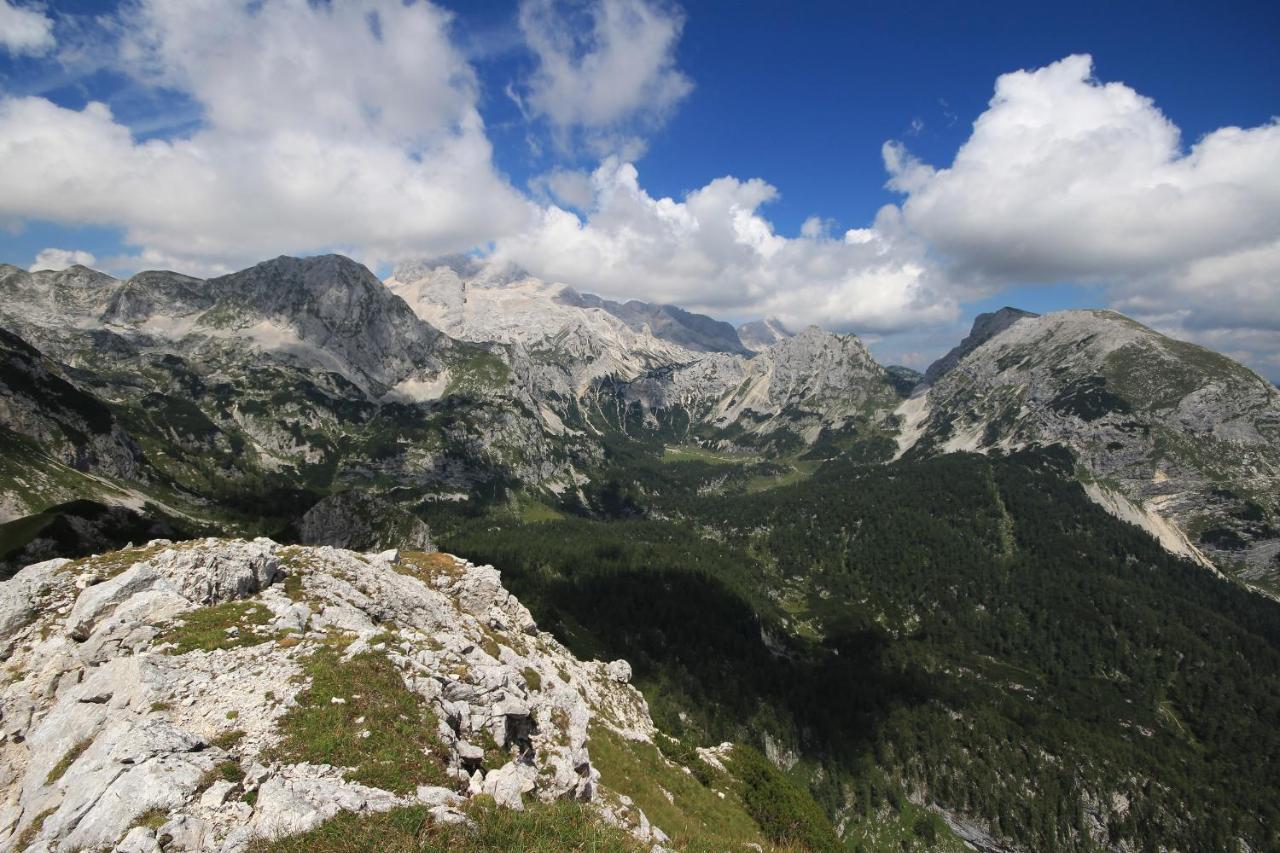 Chalet Pr Dobravc Bohinj Zewnętrze zdjęcie